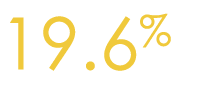 19 6%